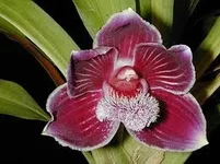 imagesCA7W433N.webp