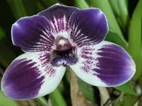 imagesCAI3TEPM.webp