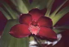 imagesCAQI6VVY.jpg