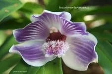 untitled.webp