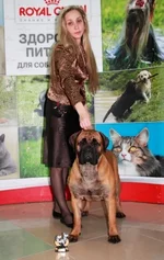 DPP_0071.webp