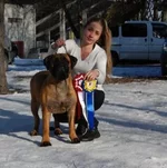 getImageCASVGM9J.webp