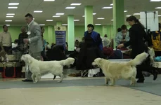 11 (36).webp