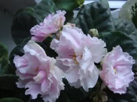 -Врата рая.webp