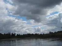  002.webp