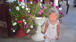 q1.webp