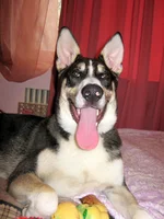 _апрель2012 004.webp