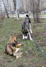 _апрель2012 012.webp