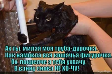 1744073883791.webp
