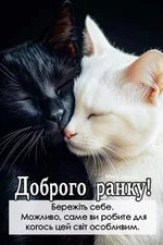 1744089075981.webp