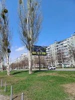 20250411_115802.jpg