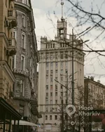 Screenshot_241.webp