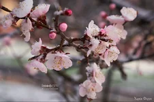 Screenshot_228.webp