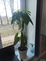 IMG_20250329_074413.jpg