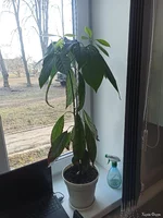 IMG_20250329_074413.webp