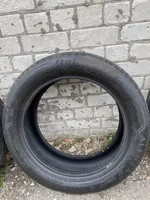 IMG_2081.jpeg