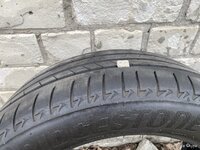 IMG_2090.jpeg