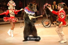  экрана 2025-04-17 084128.webp