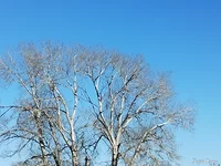 IMG_20250419_165824159.jpg
