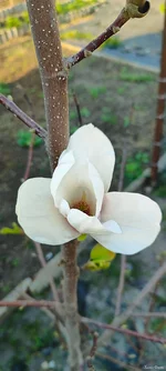 IMG_20250420_173046.jpg
