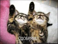 1745173928204.webp