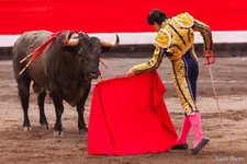 _2025-04-22_063402088.webp