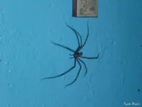P1000351.webp