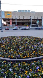 IMG_20250428_193644.jpg