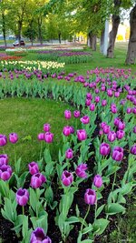 IMG_20250429_175202.jpg