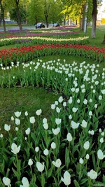 IMG_20250429_175318.jpg
