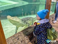 Zoopark-17.jpg