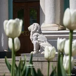 Screenshot_361.webp
