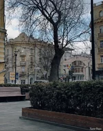 Screenshot_404.webp