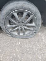 IMG_6391.jpeg