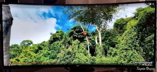 Монитор LG, 34", 160Hz.