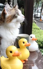 IMG_20250509_163953.webp