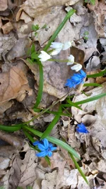 2012-04-08-013.jpg