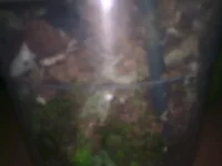 0387[1].webp