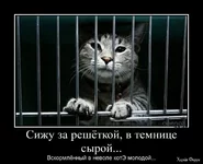 1747215600966.webp
