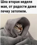 1747243462082.png