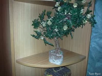 271020161331.webp