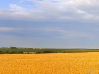P6290126_копия.JPG