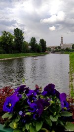 IMG_20250530_164006.jpg