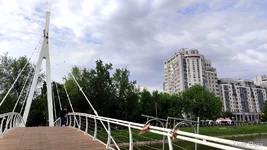 IMG_20250530_170303.jpg