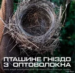Screenshot_95.webp
