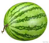 _2025-06-06_053139097.webp