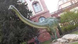 100_0694.webp