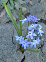 13-04-12-1.webp