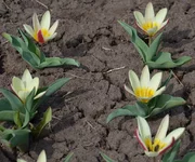 13-04-12-4.webp
