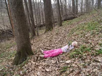 P1016431.webp